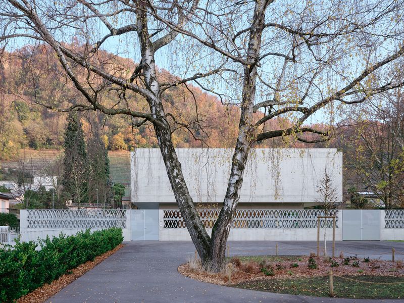 Arnia - Scuola dell’infanzia a Lamone – Francesca Iovene